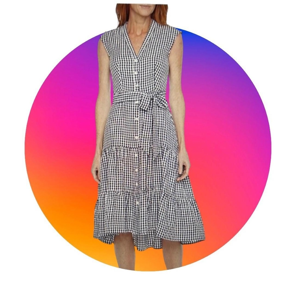 Melonie Navy and White Gingham Dress 12